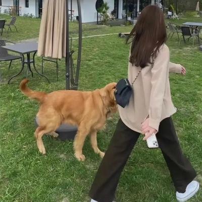 我们长大了